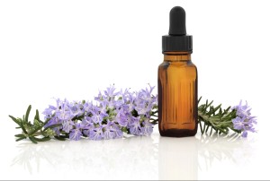 Rosemary herb flower and leaf sprig with aromatherapy essential oil glass bottle, isolated over white background.